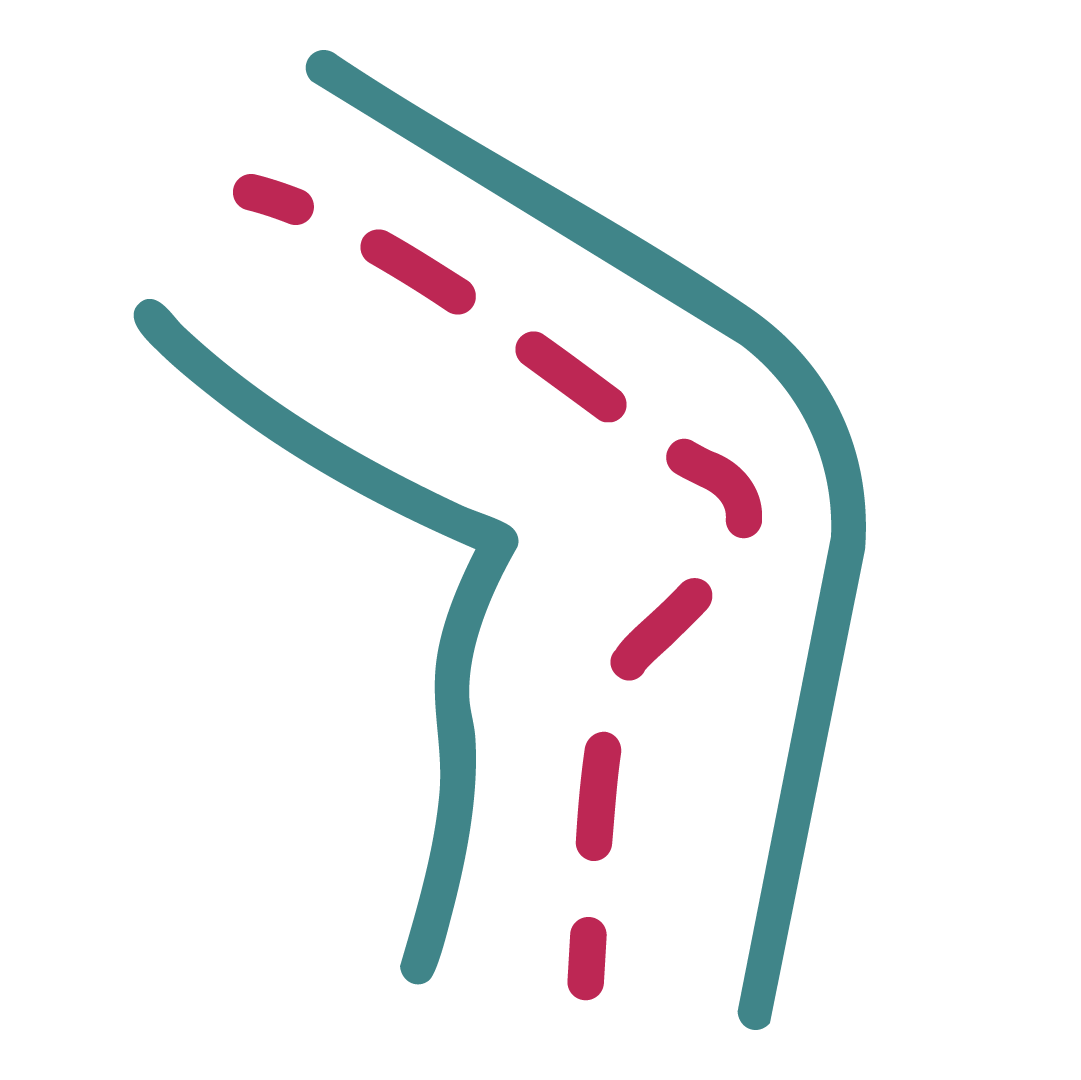 Stimuleert de bloedsomloop